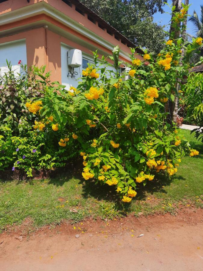 Villa Sunflower Cavelossim Εξωτερικό φωτογραφία